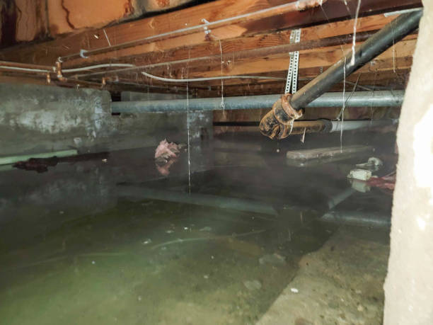 Best Water damage contractors near me  in Tennille, GA