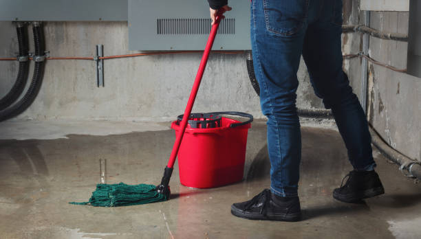  Tennille, GA Water damage restoration Pros