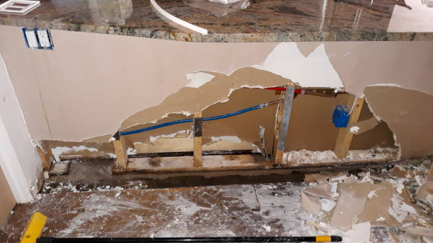 Best Basement water damage restoration  in Tennille, GA