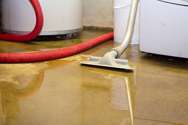 Best Water damage restoration near me  in Tennille, GA