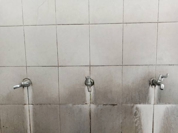 Best Flooded house restoration  in Tennille, GA