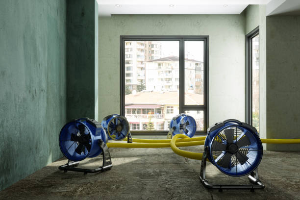 Best Fire Damage Restoration  in Tennille, GA